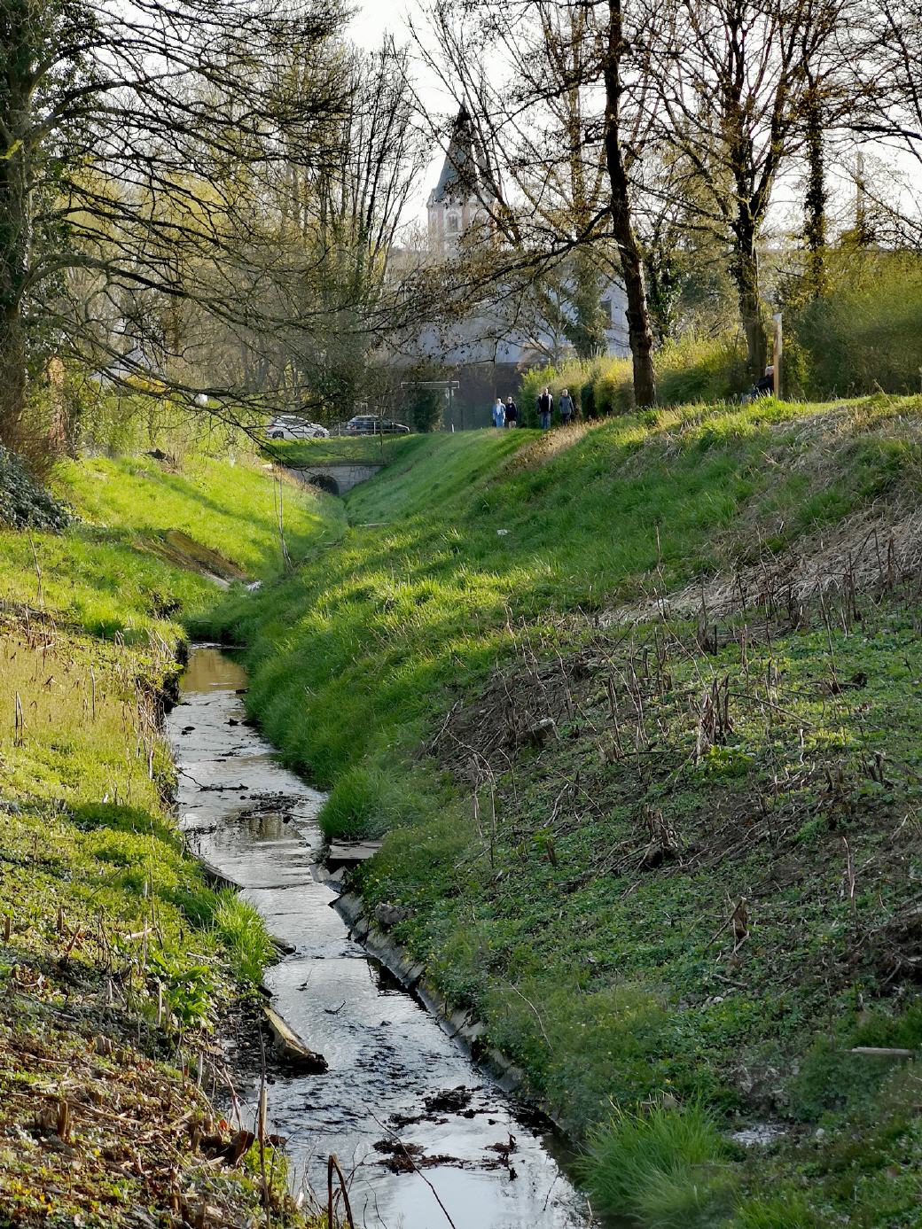 Frhlingserwachen (1): Ostern